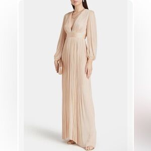 MARIA LUCIA HOHAN Inari plissé silk-tulle‎ gown in Nude 36F US 6